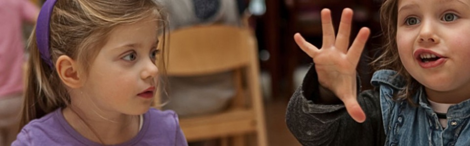 $galleryItem->description