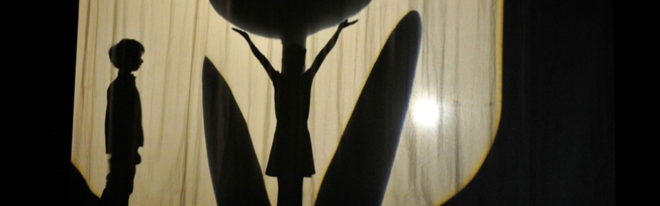 $galleryItem->description