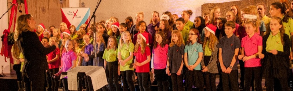 $galleryItem->description