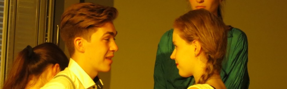 $galleryItem->description