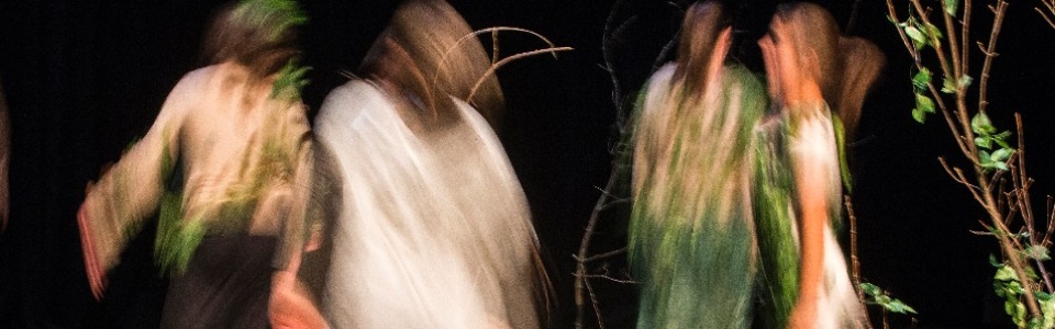 $galleryItem->description