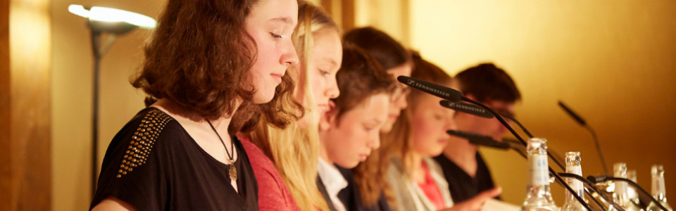 $galleryItem->description