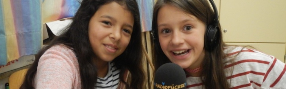 $galleryItem->description