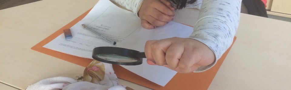 $galleryItem->description