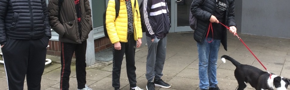 $galleryItem->description