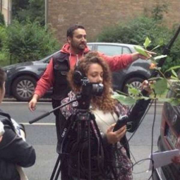 Stadtteilschule Niendorf