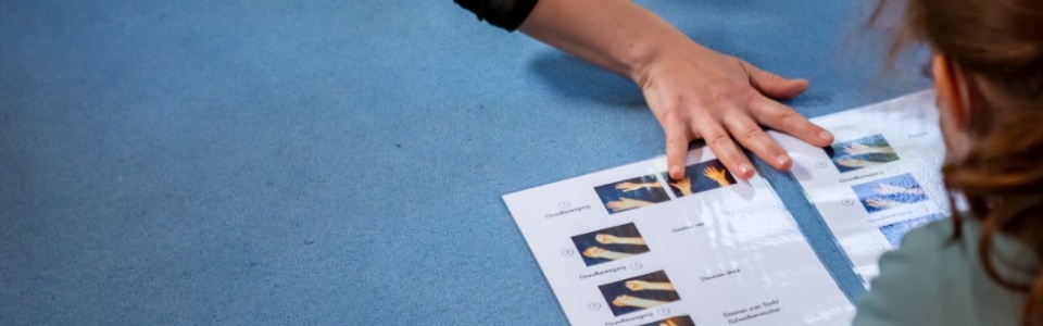 $galleryItem->description