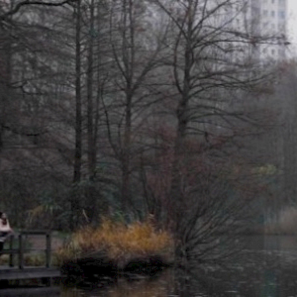 Stadtteilschule Niendorf