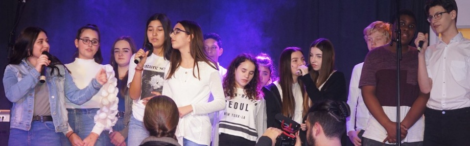 $galleryItem->description