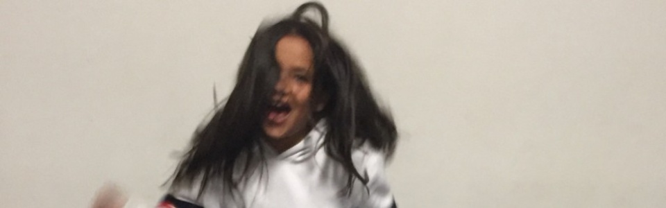 $galleryItem->description