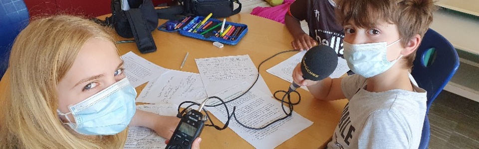 $galleryItem->description