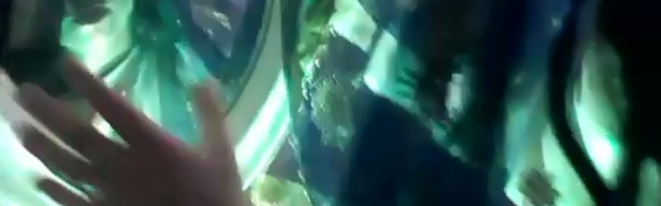 $galleryItem->description