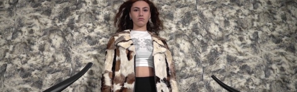 $galleryItem->description