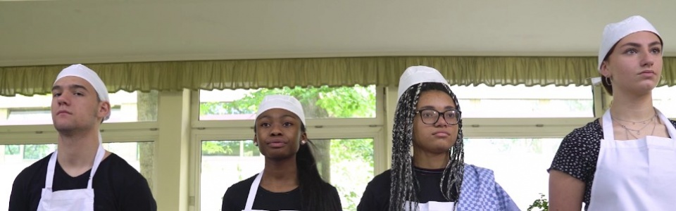 $galleryItem->description