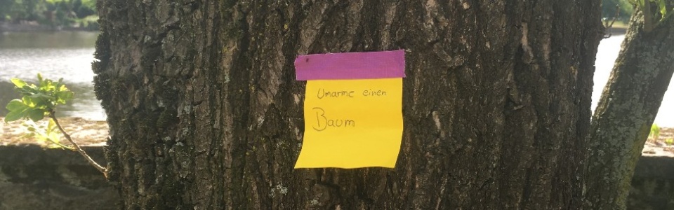 $galleryItem->description