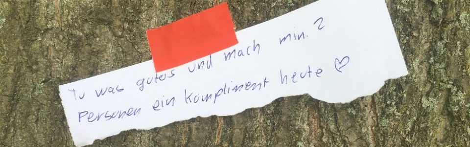 $galleryItem->description