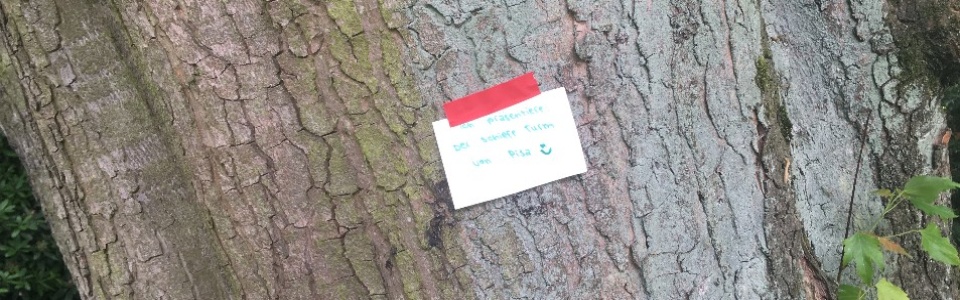 $galleryItem->description