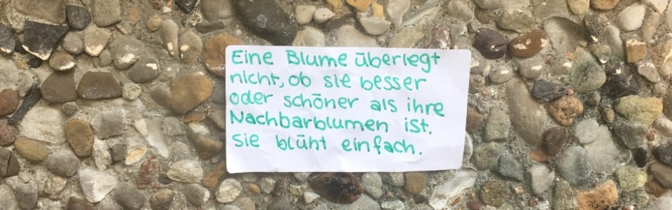 $galleryItem->description