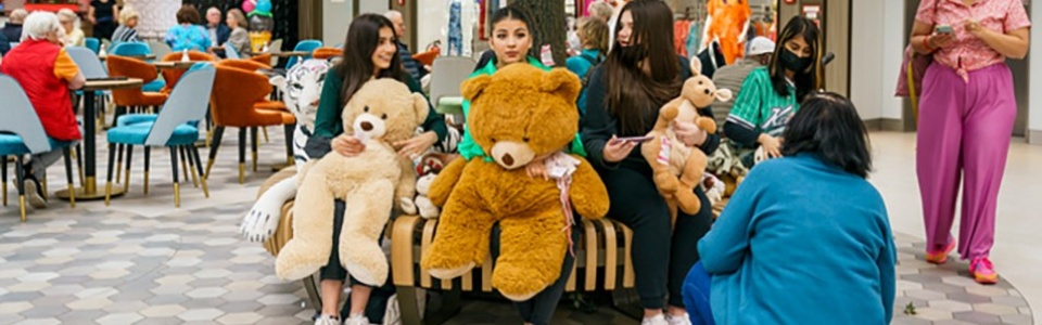 $galleryItem->description