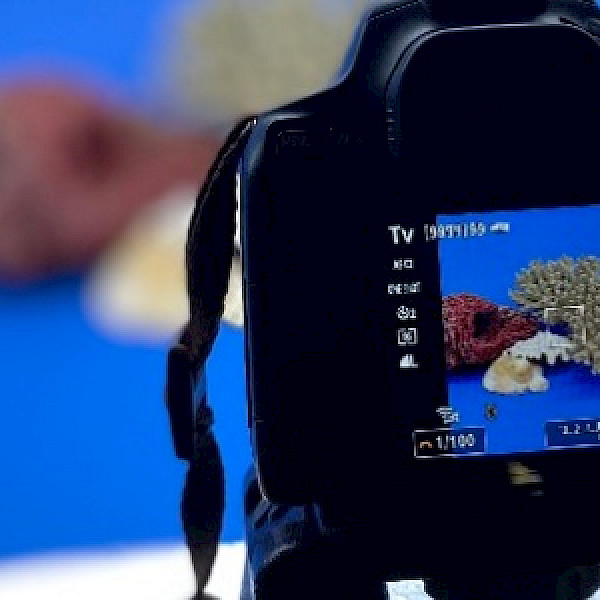 Stadtteilschule Niendorf