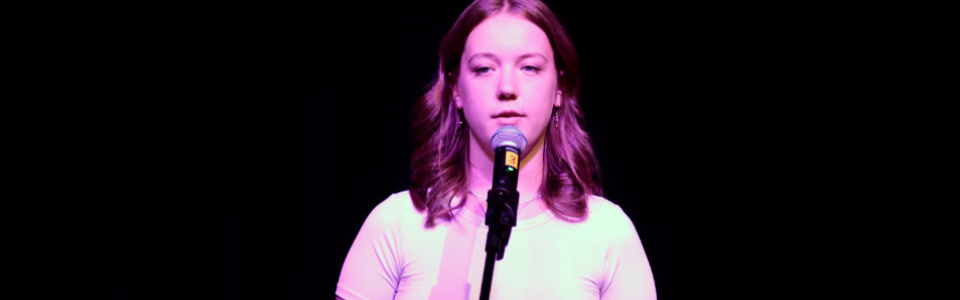 $galleryItem->description