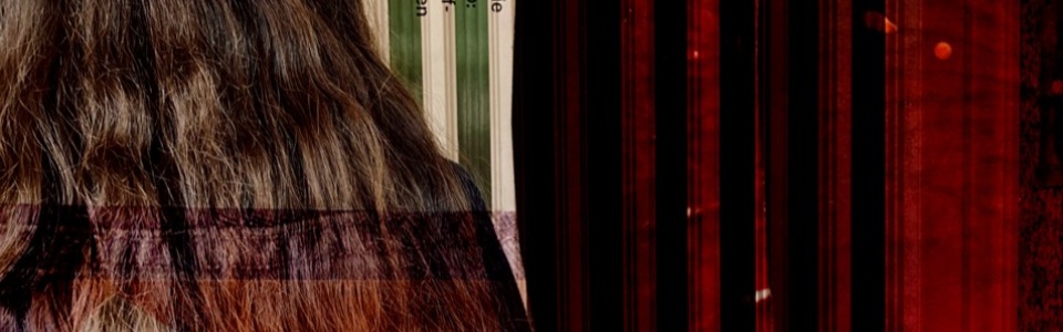 $galleryItem->description