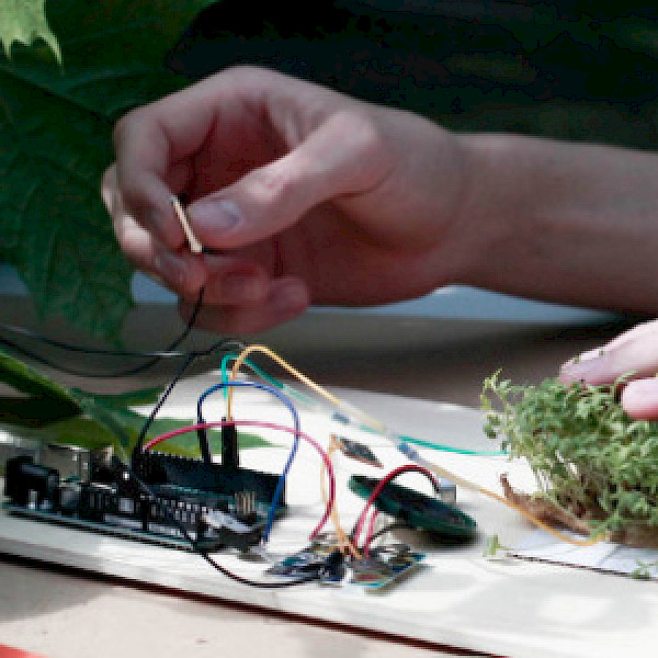 Stadtteilschule Niendorf