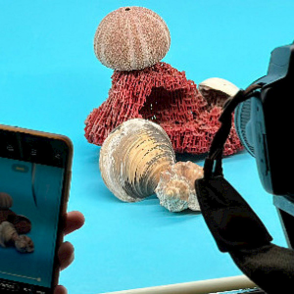 Stadtteilschule Niendorf