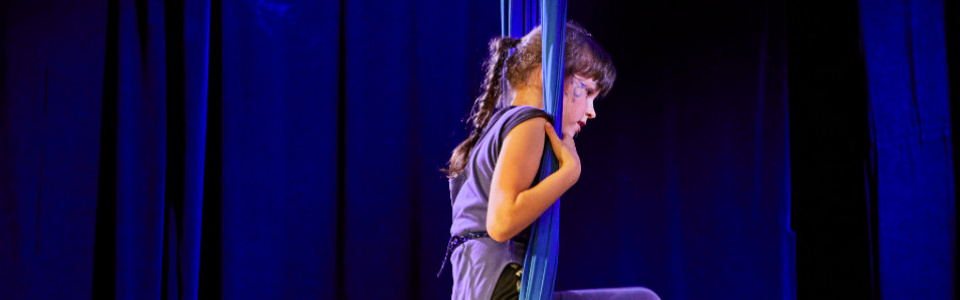 $galleryItem->description