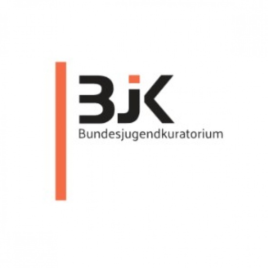 Bundesjugendkuratorium: Potenziale und Herausforderungen der Digitalisierung Bundesjugendkuratorium: Potenziale und Herausforderungen der Digitalisierung
